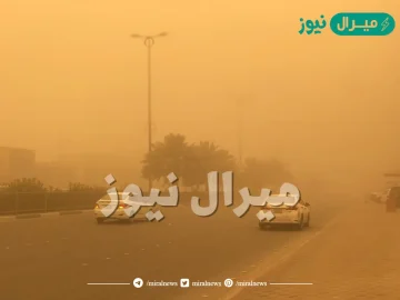 هل للغبار فوائد