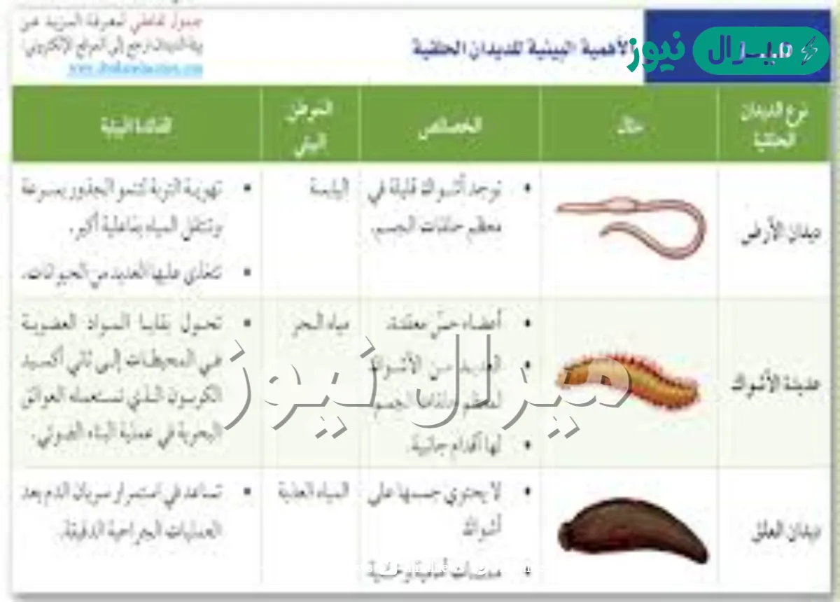وجود الحلقات المتكررة في أجسام الديدان الحلقية يجعلها أكثر