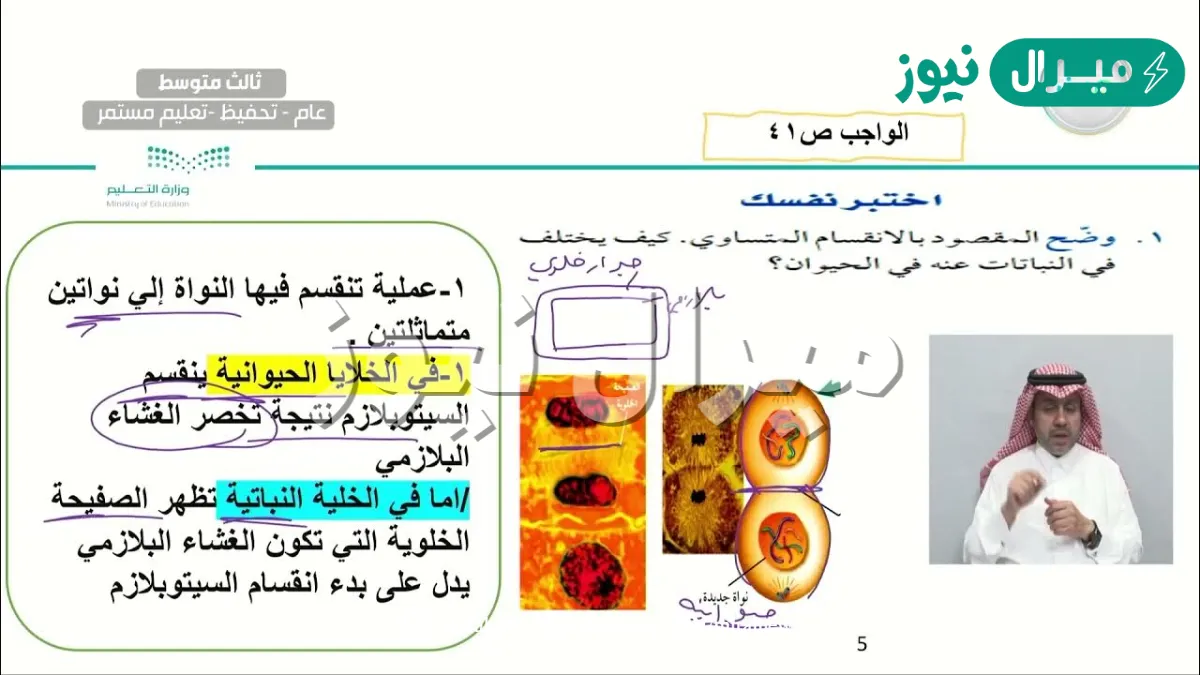 وضح المقصود بالانقسام المتساوي وكيف يختلف في النباتات عنه في الحيوان