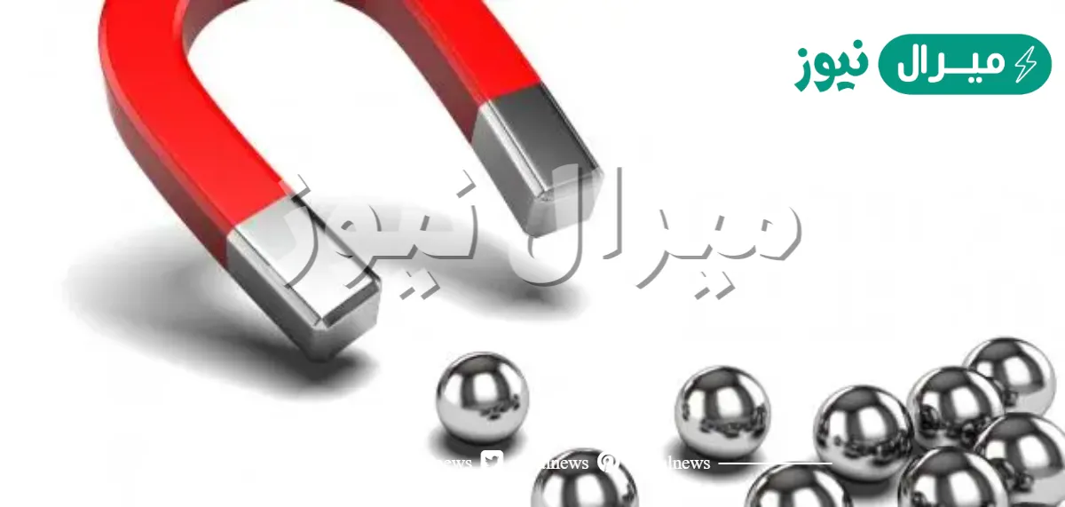 وضح لماذا تجذب المغانط الحديد ولا يجذب الورق