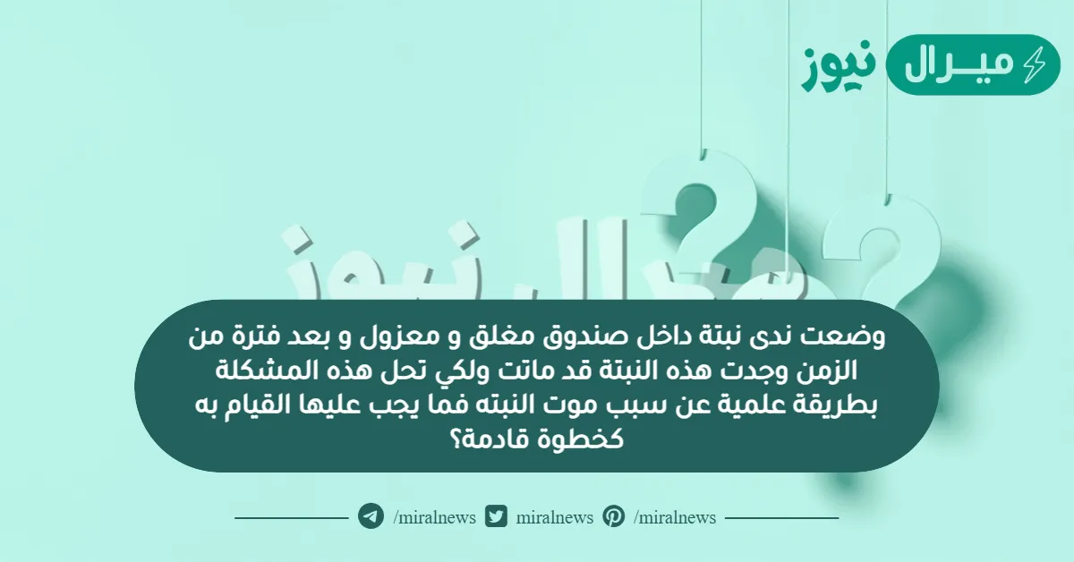 وضعت ندى نبتة داخل صندوق مغلق و معزول و بعد فترة من الزمن وجدت هذه النبتة قد ماتت ولكي تحل هذه المشكلة بطريقة علمية عن سبب موت النبته فما يجب عليها القيام به كخطوة قادمة؟