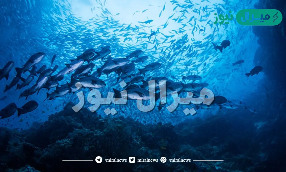 يؤدي ارتفاع درجه حراره المياه الى موت العديد من الكائنات التي تعيش في البحيرات وذلك بسبب