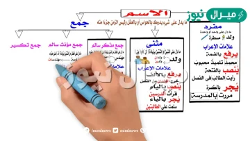 يجر الاسم المفرد ب