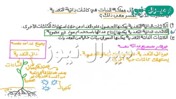 يقصد بالتغذية الذاتية