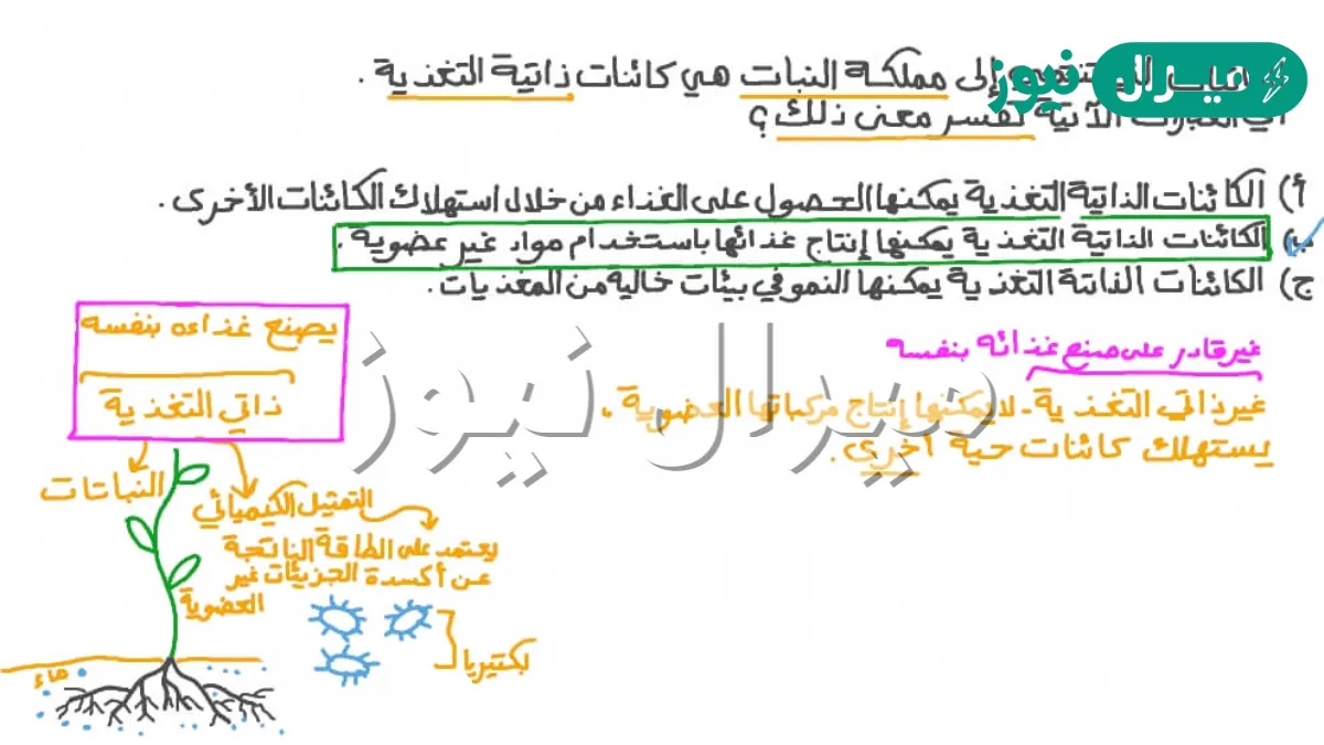 يقصد بالتغذية الذاتية