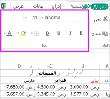 يكون تنسيق النص من شريط