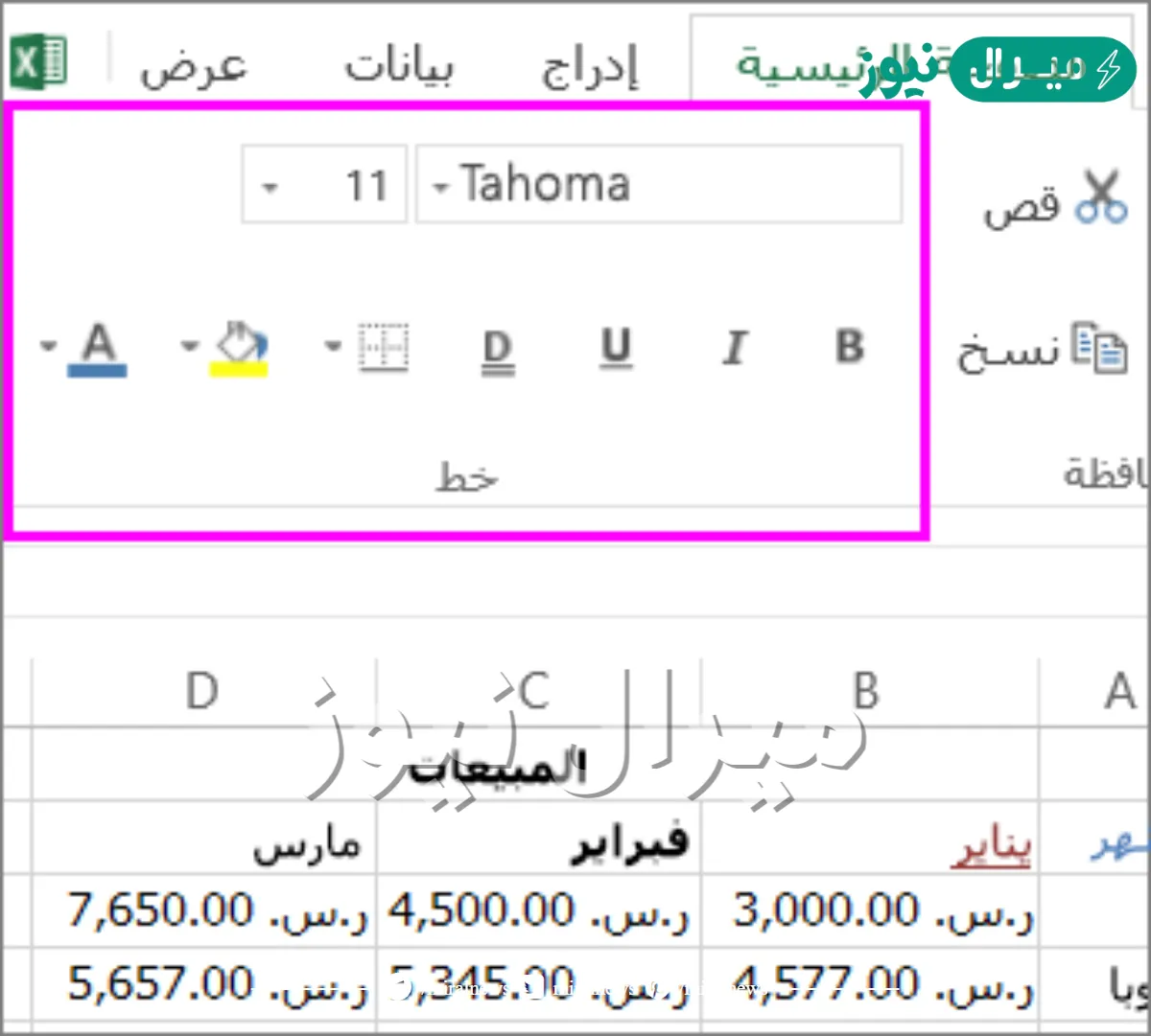 يكون تنسيق النص من شريط