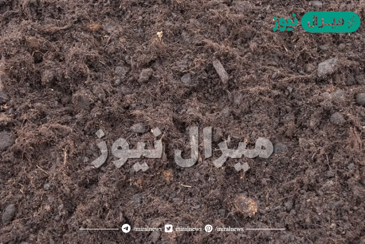 يمثل الخث المرحله المبكره من مراحل تشكل