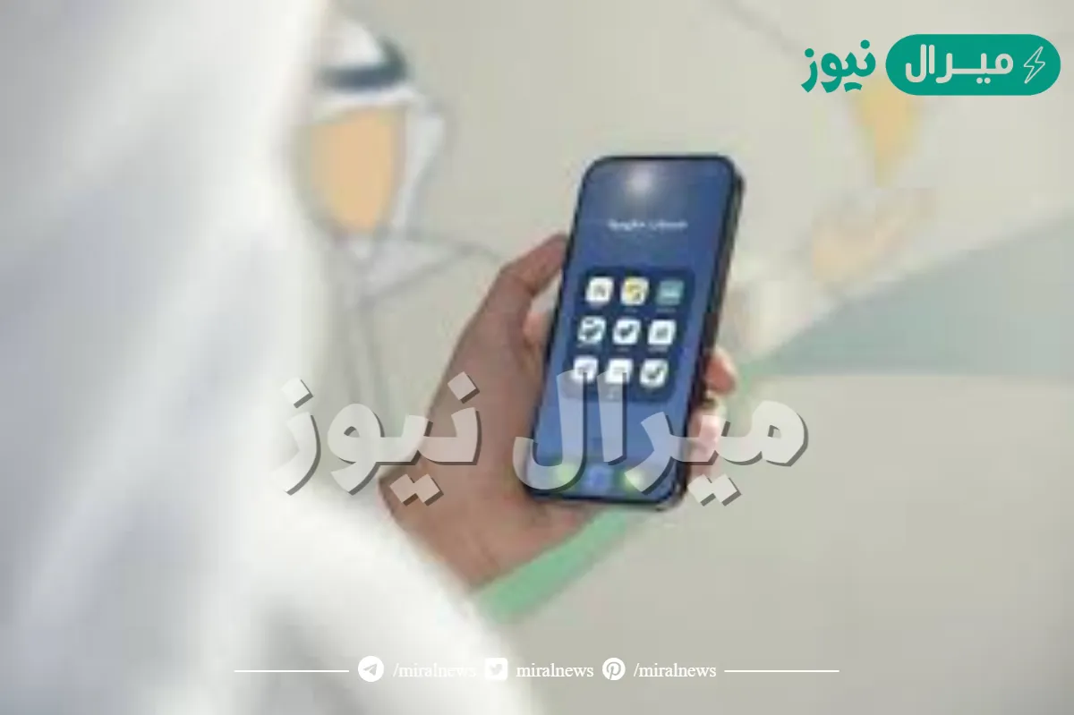 يهدف إلى تحقيق التميز في الأداء الحكومي والارتقاء بمستوى الخدمات المعيشية هو برنامج