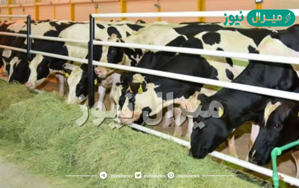 استعلام عن دعم مربي المواشي عبر موقع الوزارة