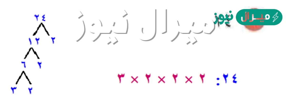 تحليل العدد 24الى عوامله الأولية