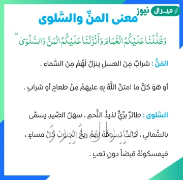 ما معنى المن والسلوى