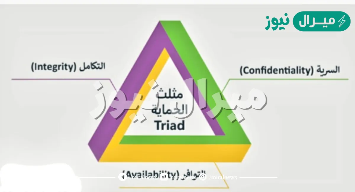 مثلث الحماية cia يوفر حماية متوازنة للمعلومات والبيانات من