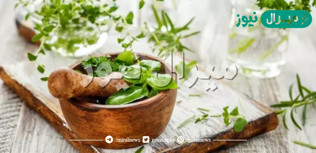 مشروبات تساعد على علاج التهاب المعدة