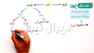 يتبع النعت المنعوت الإعراب عدد الحروف التذكير والتأنيث ترتيب الحروف