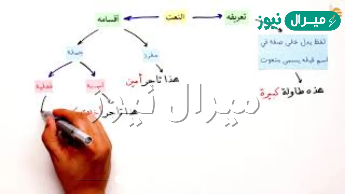 يتبع النعت المنعوت الإعراب عدد الحروف التذكير والتأنيث ترتيب الحروف