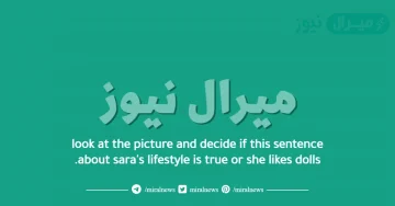 look at the picture and decide if this sentence about sara’s lifestyle is true or she likes dolls.
