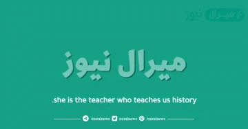 she is the teacher who teaches us history.