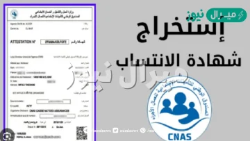 استخراج شهادة عدم الانتساب cnas من الانترنت