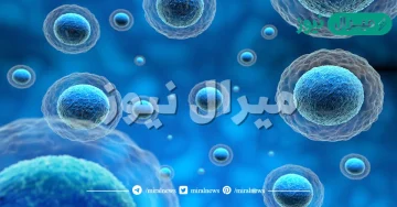 ما اسم العملية التي تستعمل الأكسجين لتحليل الجلوكوز؟