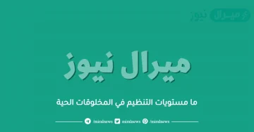 ما مستويات التنظيم في المخلوقات الحية