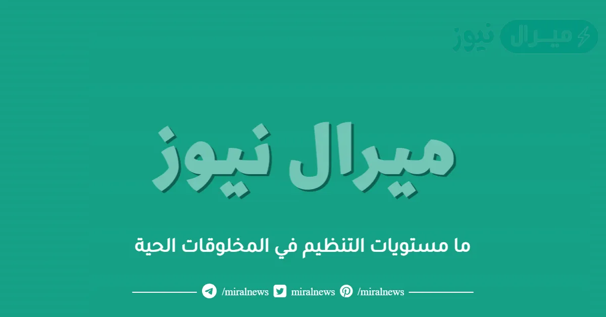 ما مستويات التنظيم في المخلوقات الحية