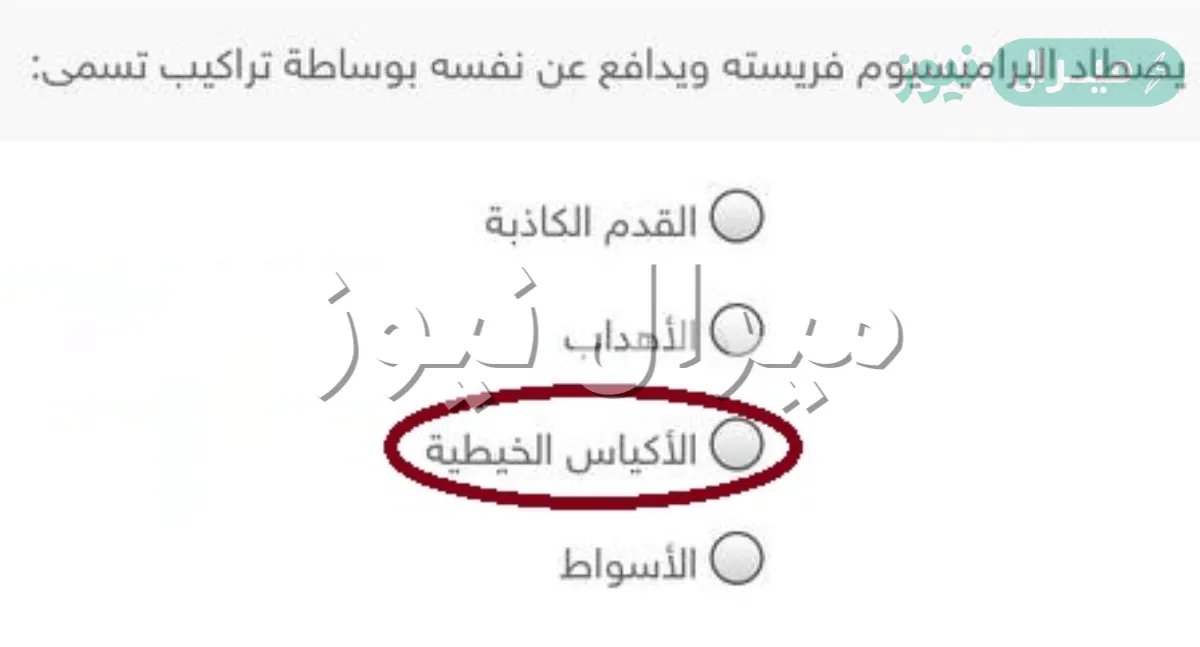 يصطاد البراميسيوم فريسته ويدافع عن نفسه بوساطة تراكيب