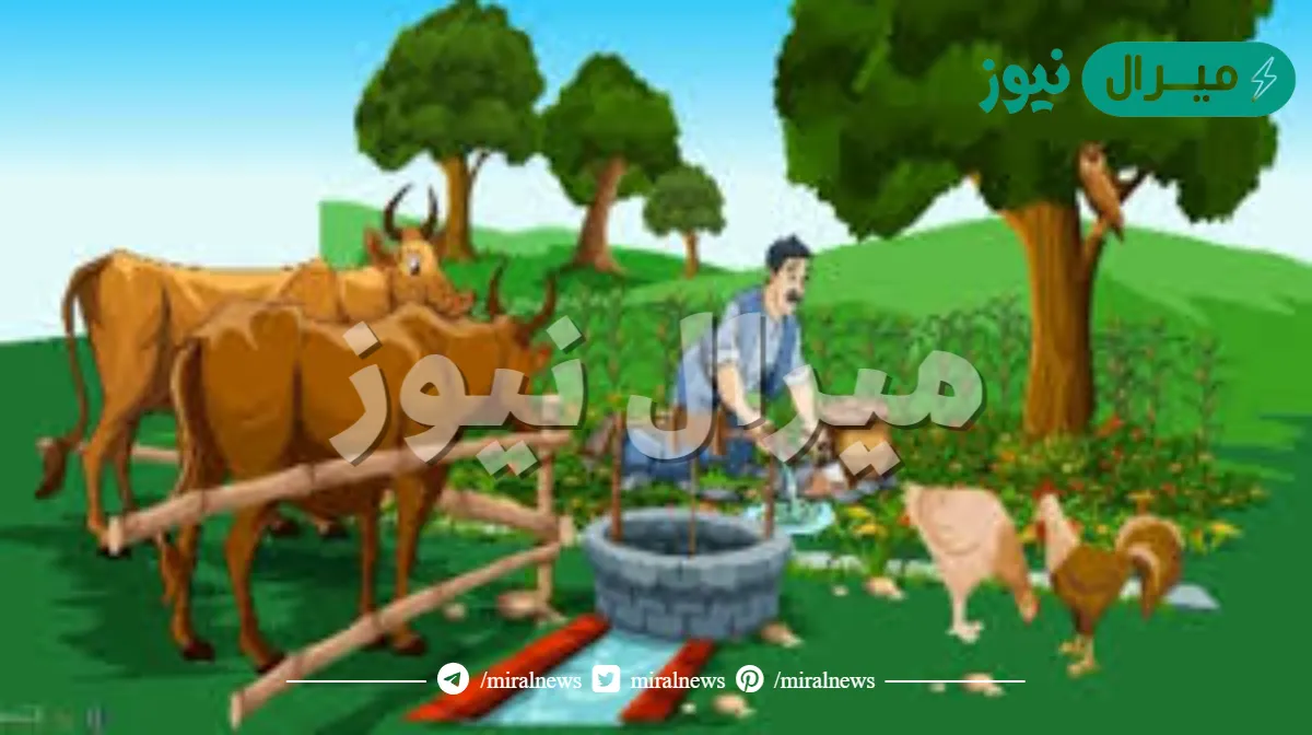 اختر الإجابة الصحيحة فيم تختلف الجماعة الحيوية عن المجتمع الحيوي ؟