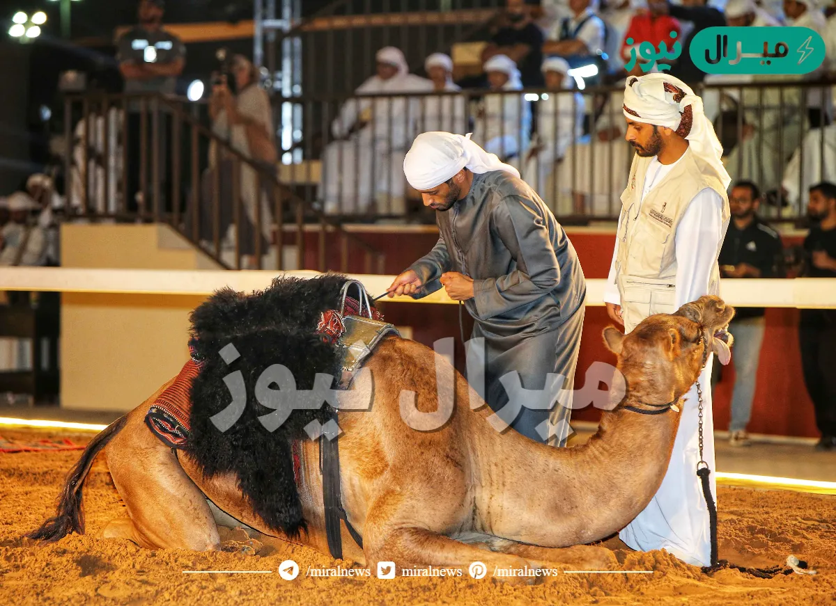 الأحبابي يقرع أجراس الميدان ويتأهل برفقة المنصوري إلى المرحلة الثانية من بطولة فزاع لليولة