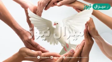 بحث عن التسامح