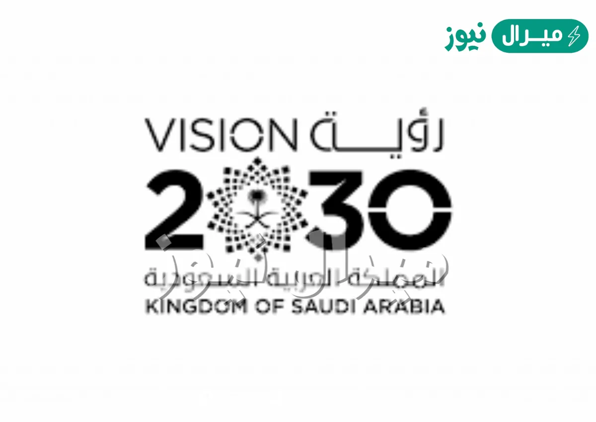 بحث عن رؤية 2030