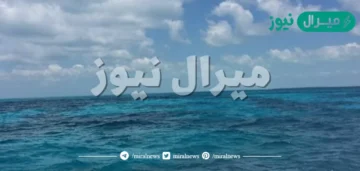 تتكون في ظهور المحيطات