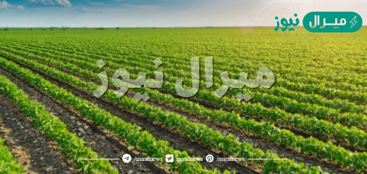 تعبير عن الزراعه