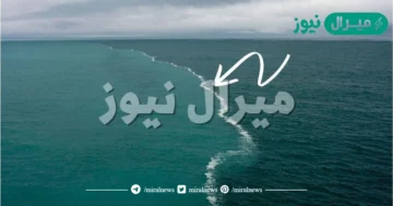 تعتبر المحيطات ماء عذب صواب خطأ