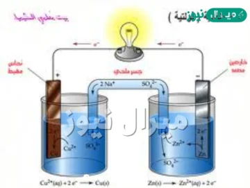 تنتقل الإلكترونات في الخلية الجلفانية من الكاثود إلى الأنود. صواب خطأ