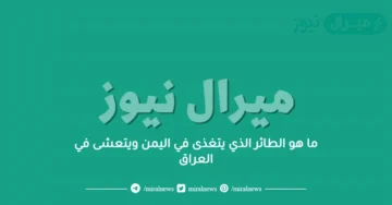 ما هو الطائر الذي يتغذى في اليمن ويتعشى في العراق