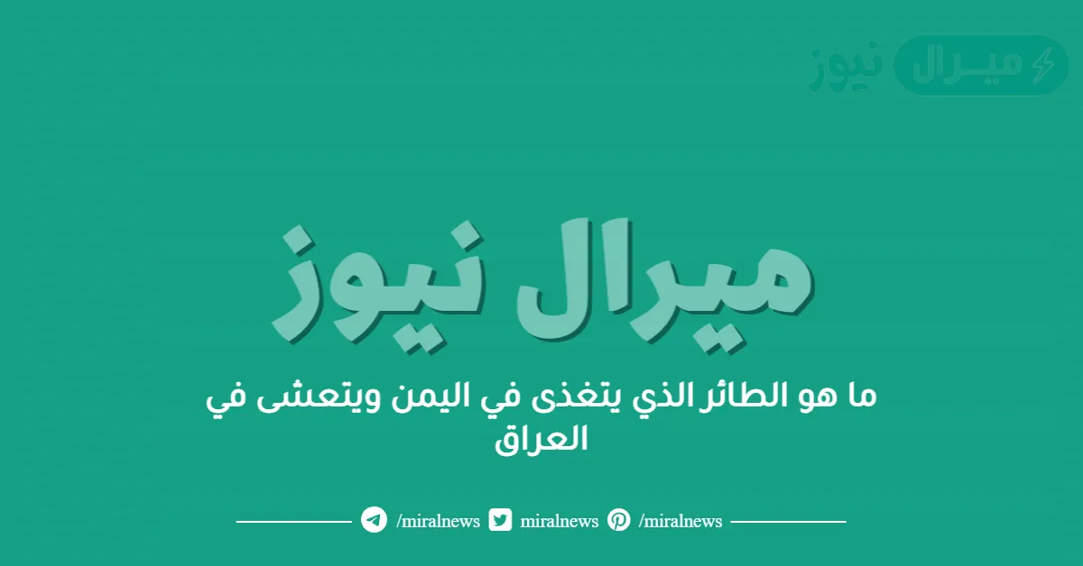 ما هو الطائر الذي يتغذى في اليمن ويتعشى في العراق