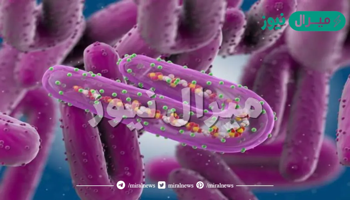 ما هو فيروس ماربورغ