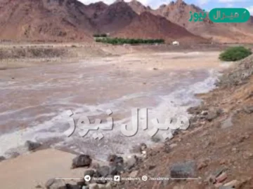 من أهم الأودية في المدينة المنورة وادي