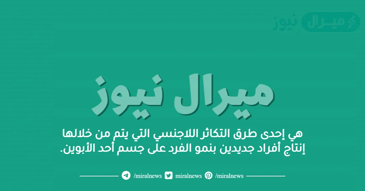 هي إحدى طرق التكاثر اللاجنسي التي يتم من خلالها إنتاج أفراد جديدين بنمو الفرد على جسم أحد الأبوين.