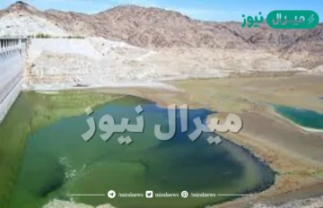 يمتد وادي بيشة من جبال الحجاز إلى وادي الداوسر