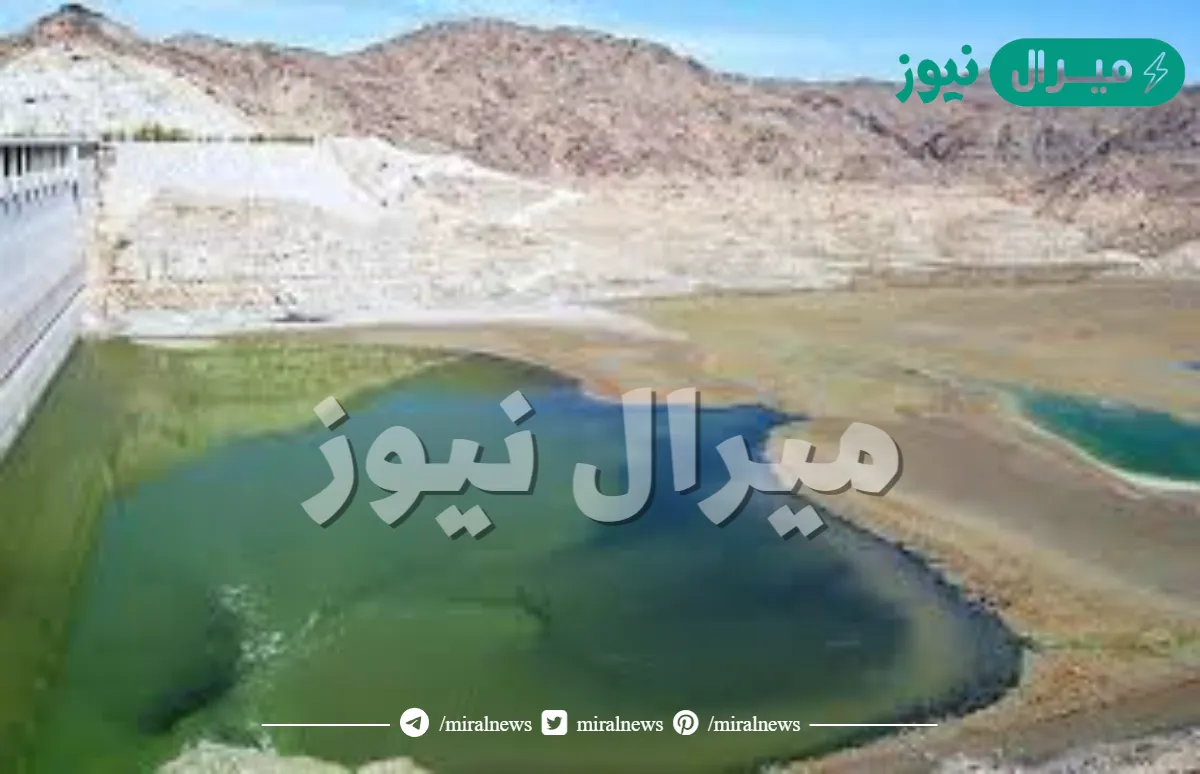 يمتد وادي بيشة من جبال الحجاز إلى وادي الداوسر