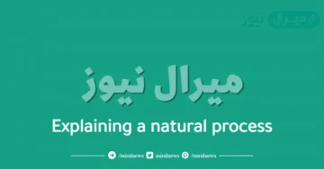 Explaining a natural process