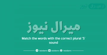 Match the words with the correct plural ‘S’ sound