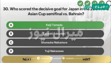 Who scored the decisive goal for Japan in the 2004 AFC Asian Cup semifinal vs. Bahrain?