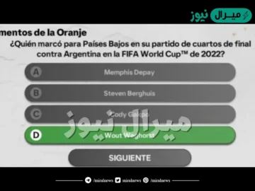 ¿Quién marcó para Países Bajos en su partido de cuartos de final contra Argentina en la FIFA 2022?