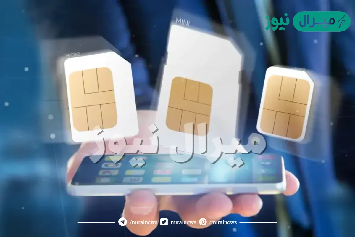 إطلاق خدمة “أرقامي DZ” لتمكين الجزائريين من كشف الشرائح المسجلة بأسمائهم