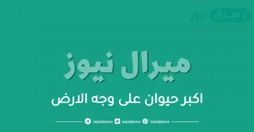 اكبر حيوان على وجه الارض