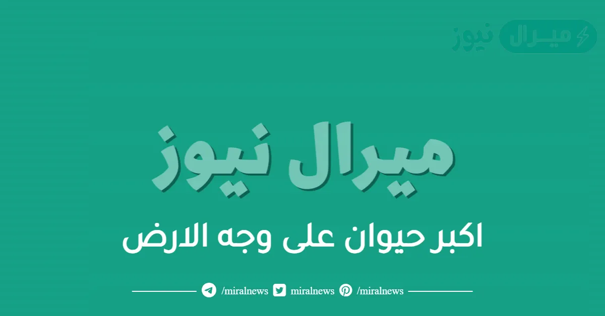 اكبر حيوان على وجه الارض