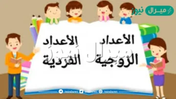 الاعداد الزوجية والفردية